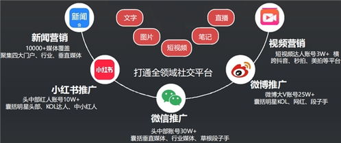 深圳市易騰信息科技助力企業高效傳播品牌及產品信息